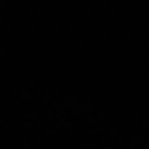 Meet your Posher, Dan